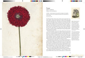 Remarkable Plants That Shape Our World - Helen Bynum [KSIĄŻKA]