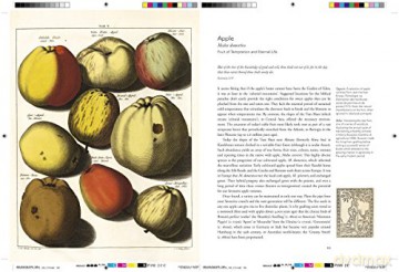 Remarkable Plants That Shape Our World - Helen Bynum [KSIĄŻKA]