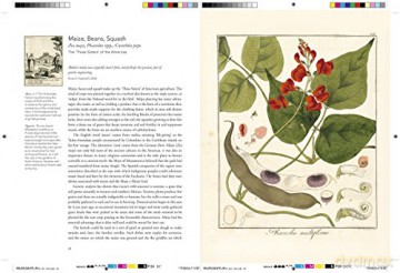 Remarkable Plants That Shape Our World - Helen Bynum [KSIĄŻKA]