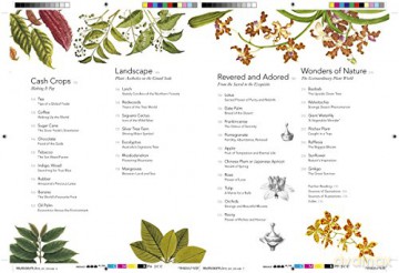 Remarkable Plants That Shape Our World - Helen Bynum [KSIĄŻKA]