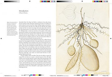 Remarkable Plants That Shape Our World - Helen Bynum [KSIĄŻKA]