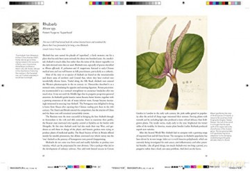 Remarkable Plants That Shape Our World - Helen Bynum [KSIĄŻKA]
