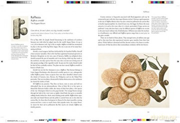 Remarkable Plants That Shape Our World - Helen Bynum [KSIĄŻKA]