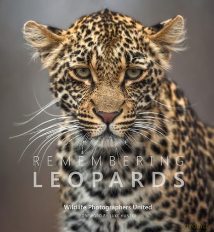 Remembering Leopards - Margot Raggert [KSIĄŻKA]