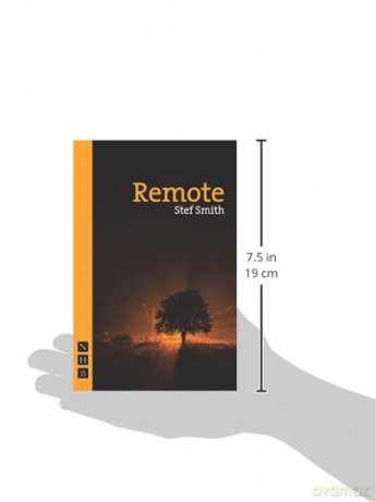 Remote - Steff Smith [KSIĄŻKA]