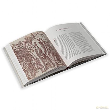 Renaissance Of Etching The - Catherine Jenkins [KSIĄŻKA]