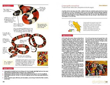 Reptiles Of Costa Rica - Twan Leenders [KSIĄŻKA]
