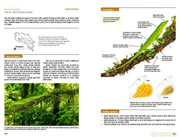 Reptiles Of Costa Rica - Twan Leenders [KSIĄŻKA]