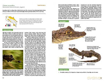 Reptiles Of Costa Rica - Twan Leenders [KSIĄŻKA]