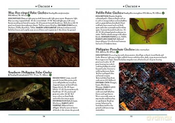 Reptiles Of The Philippines - Emerson Sy [KSIĄŻKA]