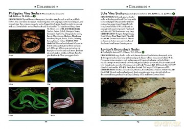 Reptiles Of The Philippines - Emerson Sy [KSIĄŻKA]