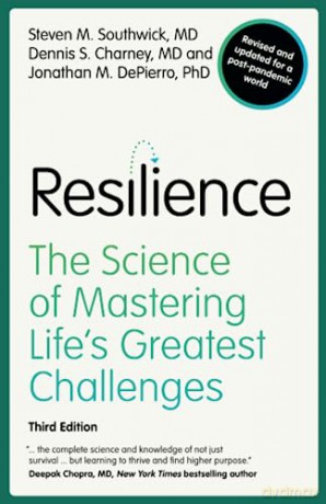 Resilience - S Et Al Southwick [KSIĄŻKA]