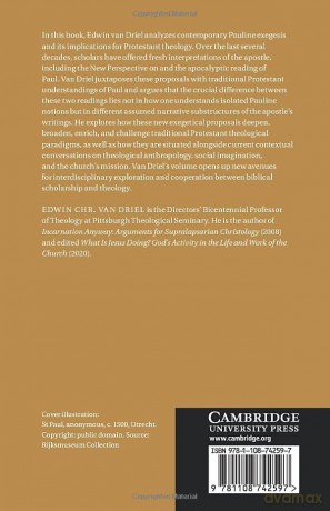 Rethinking Paul - Driel Edwin Chr. Va [KSIĄŻKA]