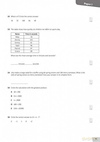 Revise 11 Maths Assessment Book [KSIĄŻKA]