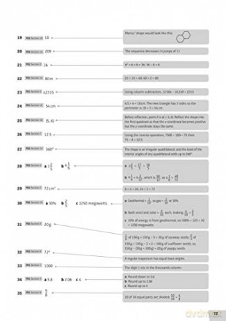 Revise 11 Maths Assessment Book [KSIĄŻKA]
