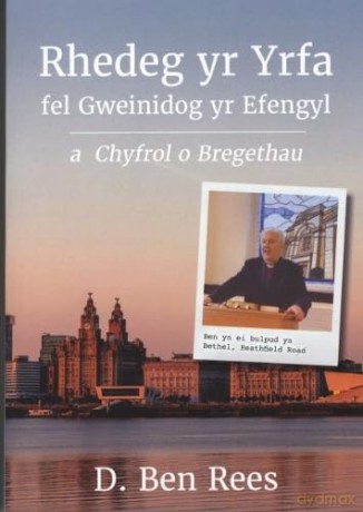 Rhedeg Yr Yrfa - D Ben Rees [KSIĄŻKA]