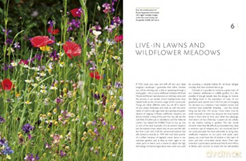 Rhs Companion To Wildlife Gardening - Chris Baines [KSIĄŻKA]