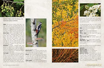 Rhs Companion To Wildlife Gardening - Chris Baines [KSIĄŻKA]