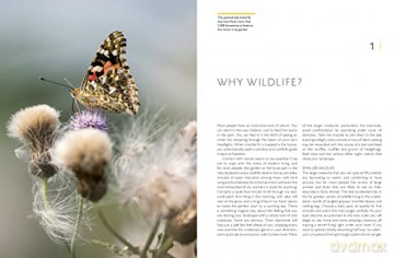 Rhs Companion To Wildlife Gardening - Chris Baines [KSIĄŻKA]