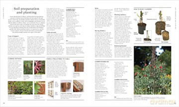 Rhs Encyclopedia Of Gardening - C (Ed) Brickell [KSIĄŻKA]