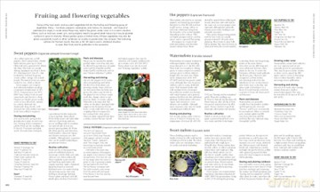 Rhs Encyclopedia Of Gardening - C (Ed) Brickell [KSIĄŻKA]