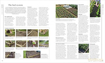 Rhs Encyclopedia Of Gardening - C (Ed) Brickell [KSIĄŻKA]