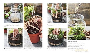 Rhs House Plant [KSIĄŻKA]