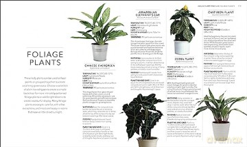 Rhs House Plant [KSIĄŻKA]