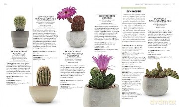 Rhs House Plant [KSIĄŻKA]