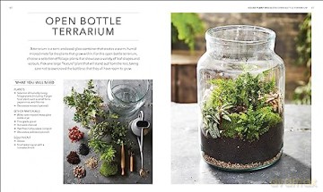 Rhs House Plant [KSIĄŻKA]