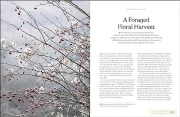 Rhs The Winter Garden - Naomi Slade [KSIĄŻKA]