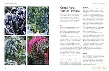 Rhs The Winter Garden - Naomi Slade [KSIĄŻKA]