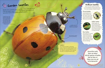 Rhs Ultimate Sticker Book Garden Bugs [KSIĄŻKA]
