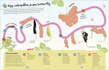 Rhs Ultimate Sticker Book Garden Bugs [KSIĄŻKA]