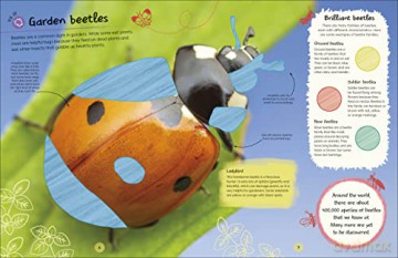 Rhs Ultimate Sticker Book Garden Bugs [KSIĄŻKA]