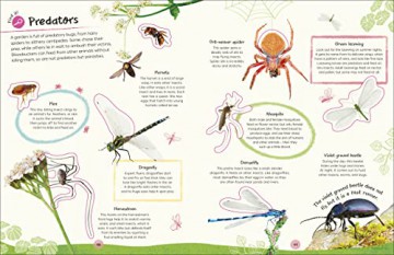 Rhs Ultimate Sticker Book Garden Bugs [KSIĄŻKA]