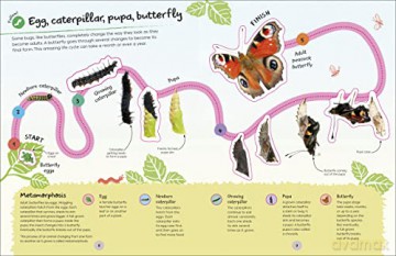 Rhs Ultimate Sticker Book Garden Bugs [KSIĄŻKA]