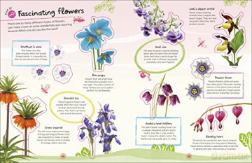 Rhs Ultimate Sticker Book Garden Flowers [KSIĄŻKA]