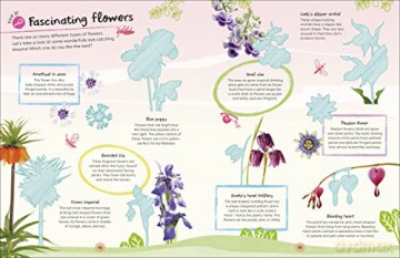 Rhs Ultimate Sticker Book Garden Flowers [KSIĄŻKA]