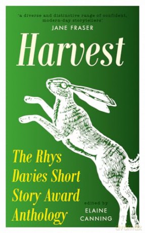 Rhys Davies Short Story Anthology 2023 - Elaine (Ed) Canning [KSIĄŻKA]