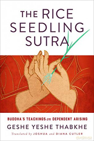 Rice Seedling Sutra - Yeshe Geshe Thabkhe [KSIĄŻKA]