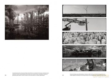 Richard Mosse - Yasufumi Nakamori [KSIĄŻKA]