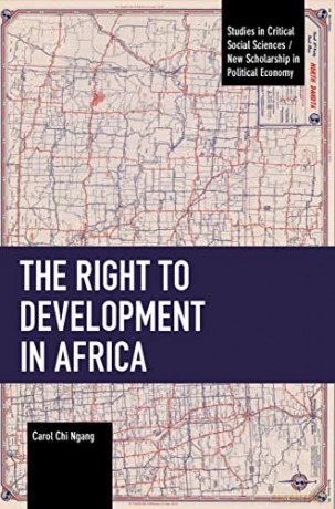 Right To Development In Africa - Carol Chi Ngang [KSIĄŻKA]
