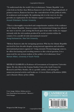 Righteous Politics - Kamrava Mehran [KSIĄŻKA]