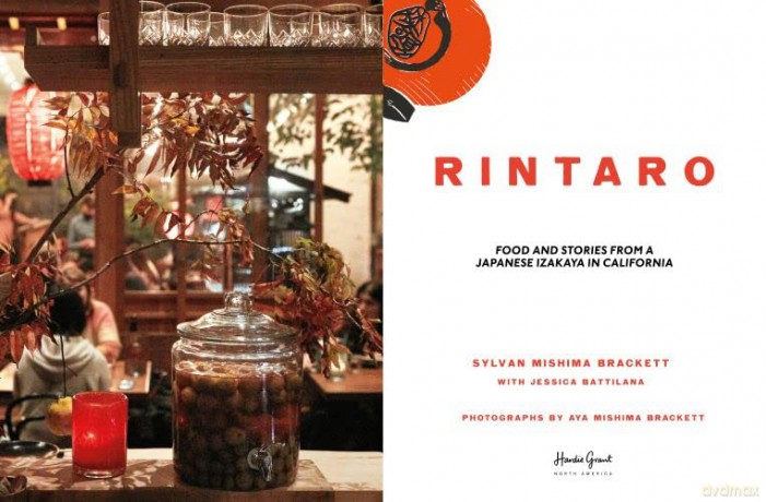 Rintaro - Sylvan M Brackett [KSIĄŻKA]