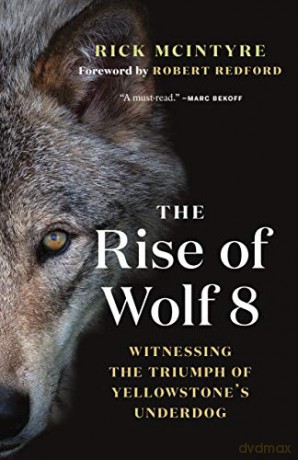 Rise Of Wolf 8 - Rick Mcintyre [KSIĄŻKA]
