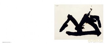 Robert Motherwell - Robert Davidson [KSIĄŻKA]