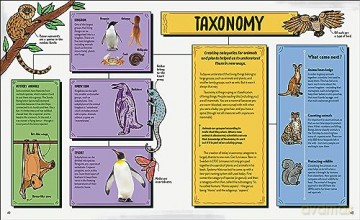 Robert Winstons Story Of Science - Robert Winston [KSIĄŻKA]