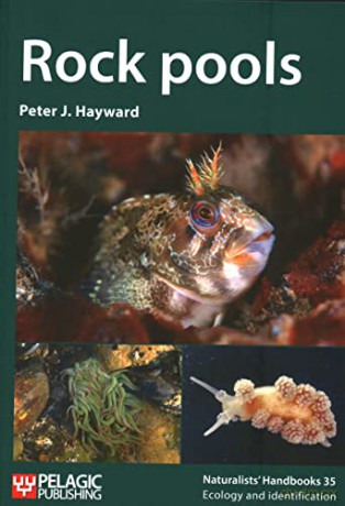 Rock Pools - Peter J. Hayward [KSIĄŻKA]