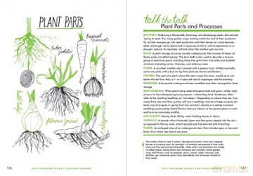 Rodales Basic Organic Gardening - Deborah L Martin [KSIĄŻKA]